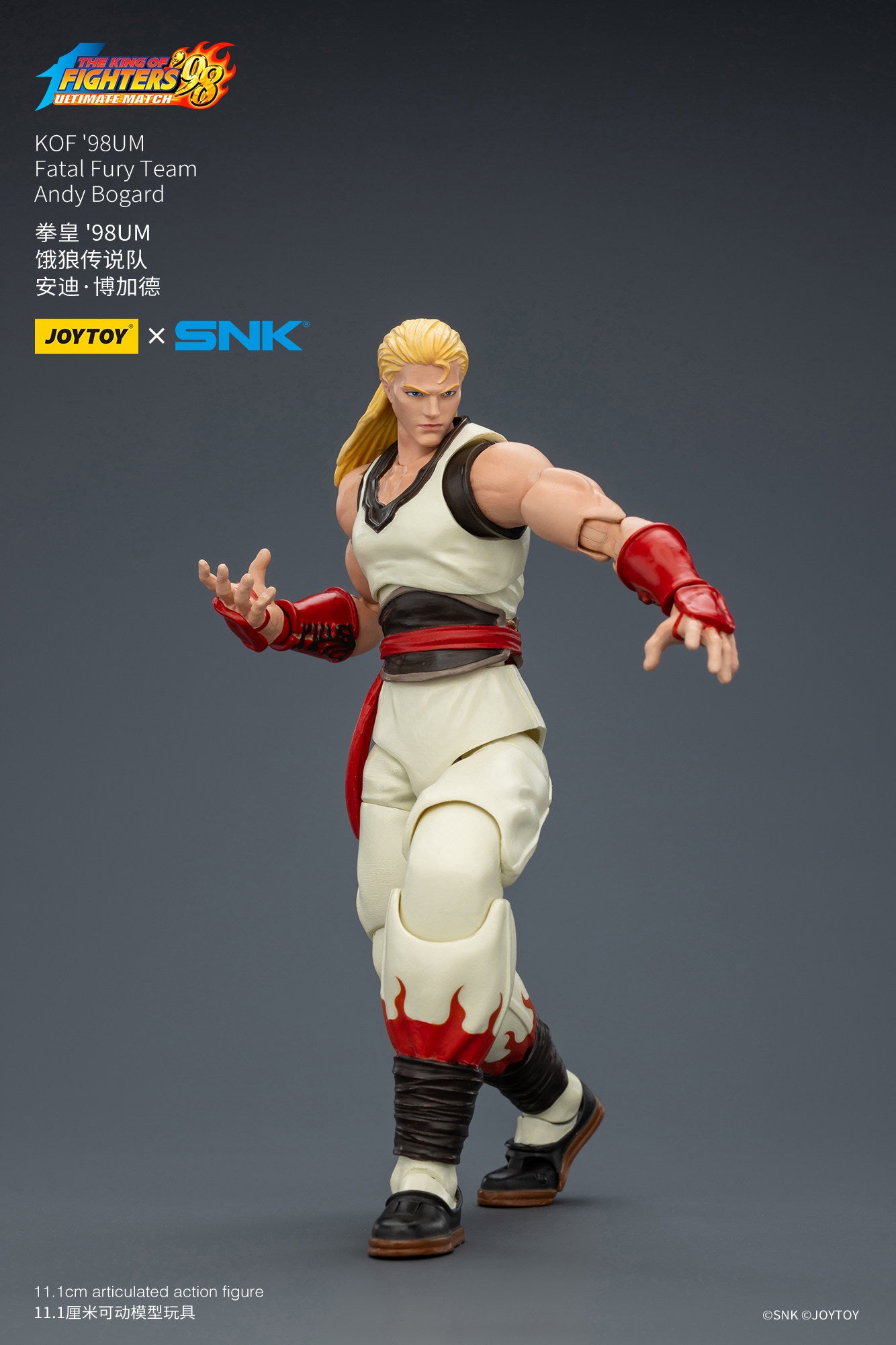 1:18 Andy Bogard Action Figure