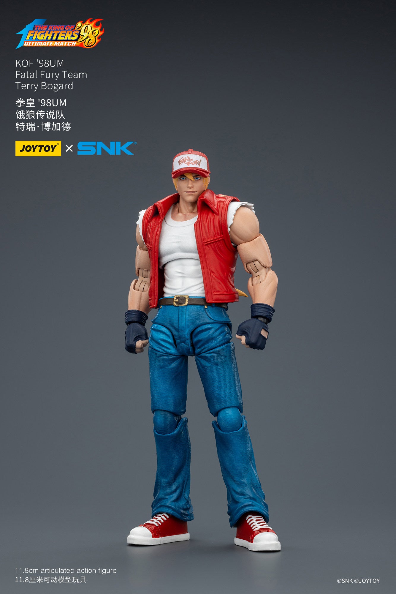 1:18 Terry Bogard Action Figure