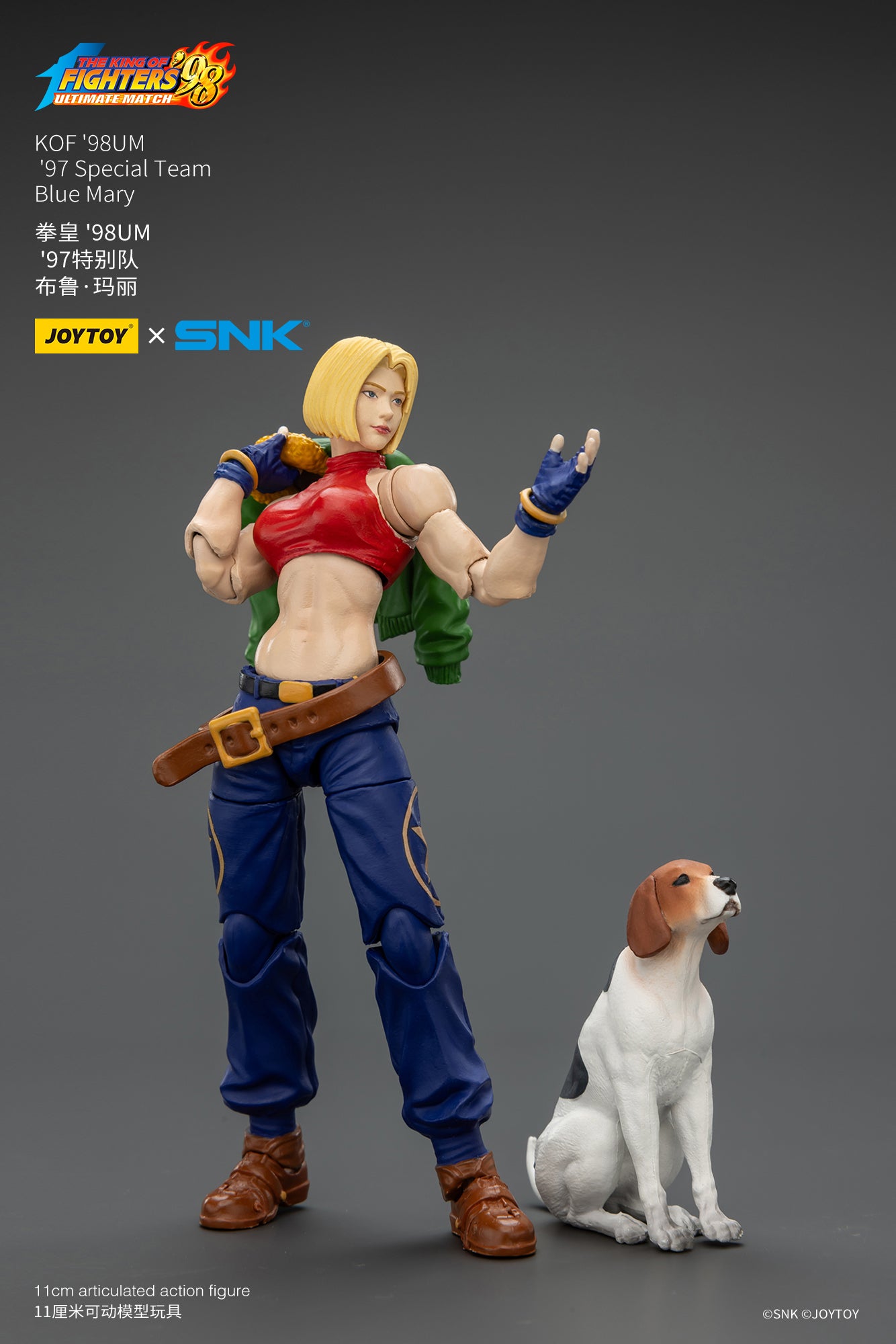 1:18 Blue Mary Action Figure