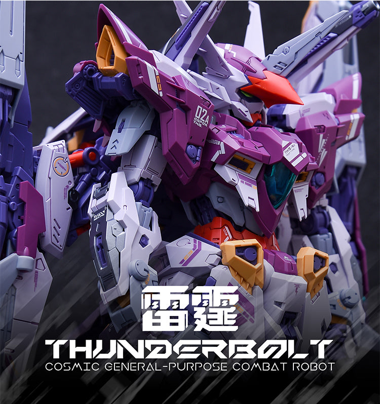 1:100 Thunderbolt RMD Series Model Kit