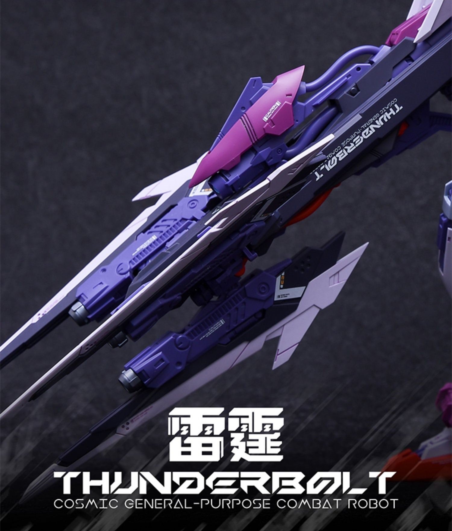 1:100 Thunderbolt RMD Series Model Kit