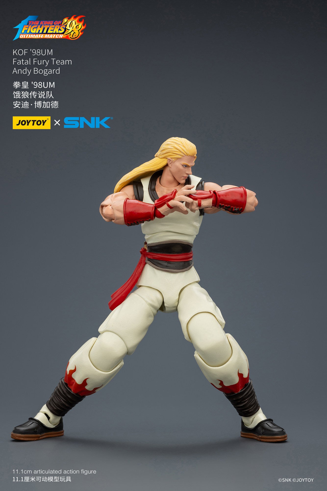 1:18 Andy Bogard Action Figure