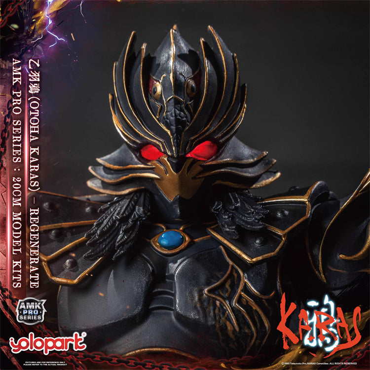 Yolopark - Otoha Karas Regenerate Version AMK Pro Series Model Kit - inshobby.com