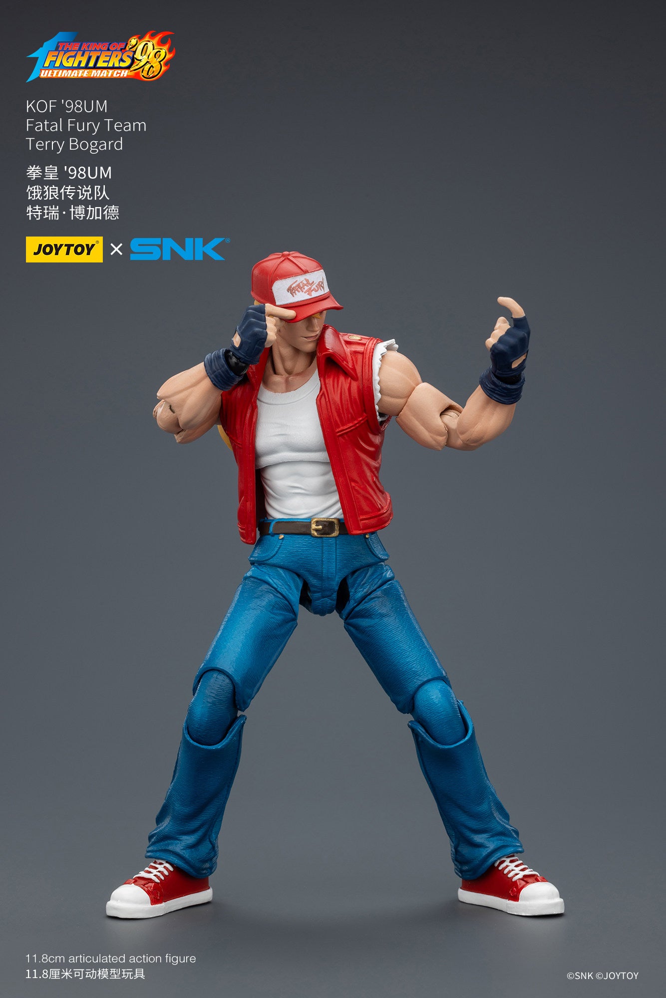 1:18 Terry Bogard Action Figure