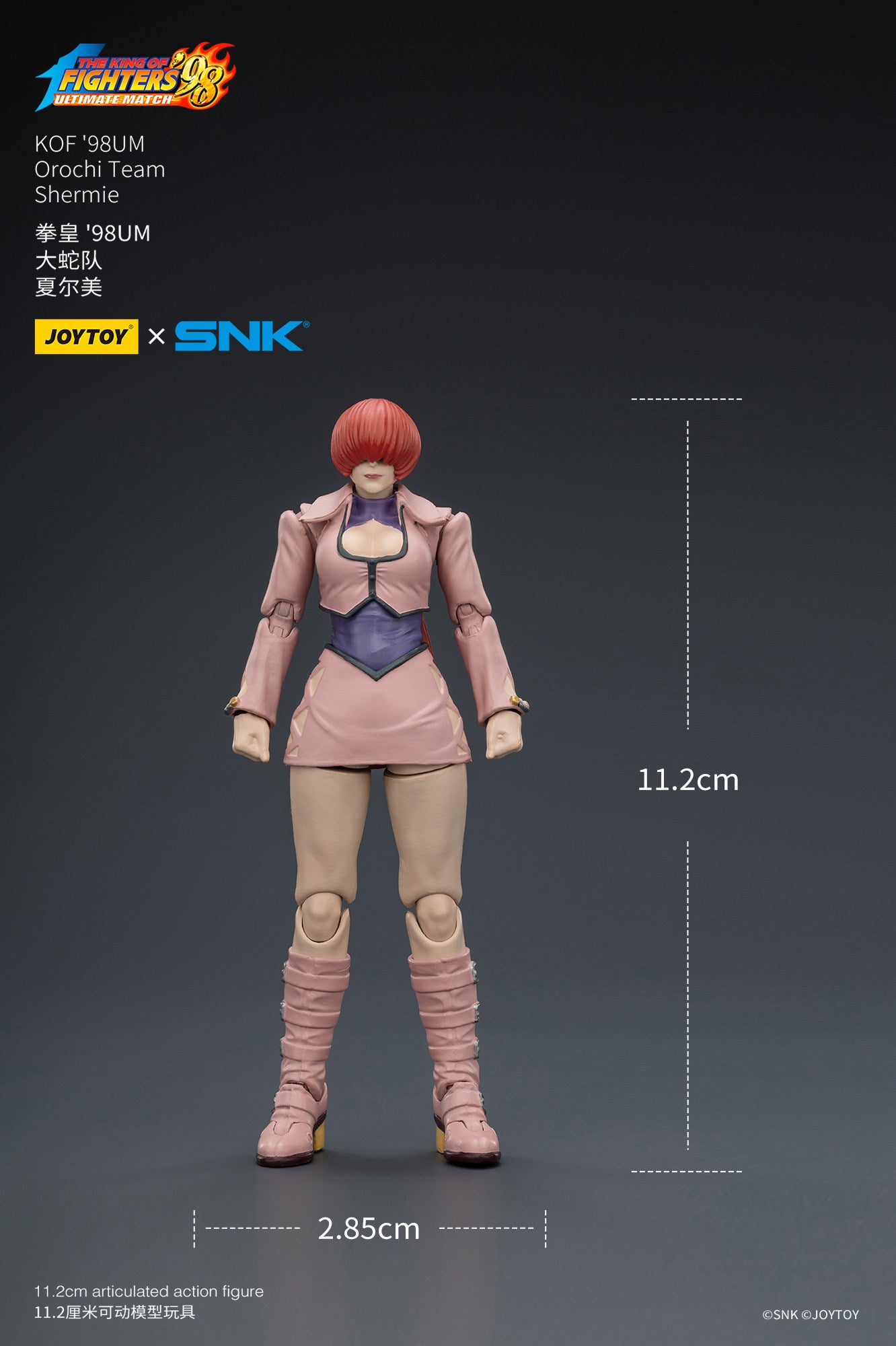 1:18 Shermie Action Figure
