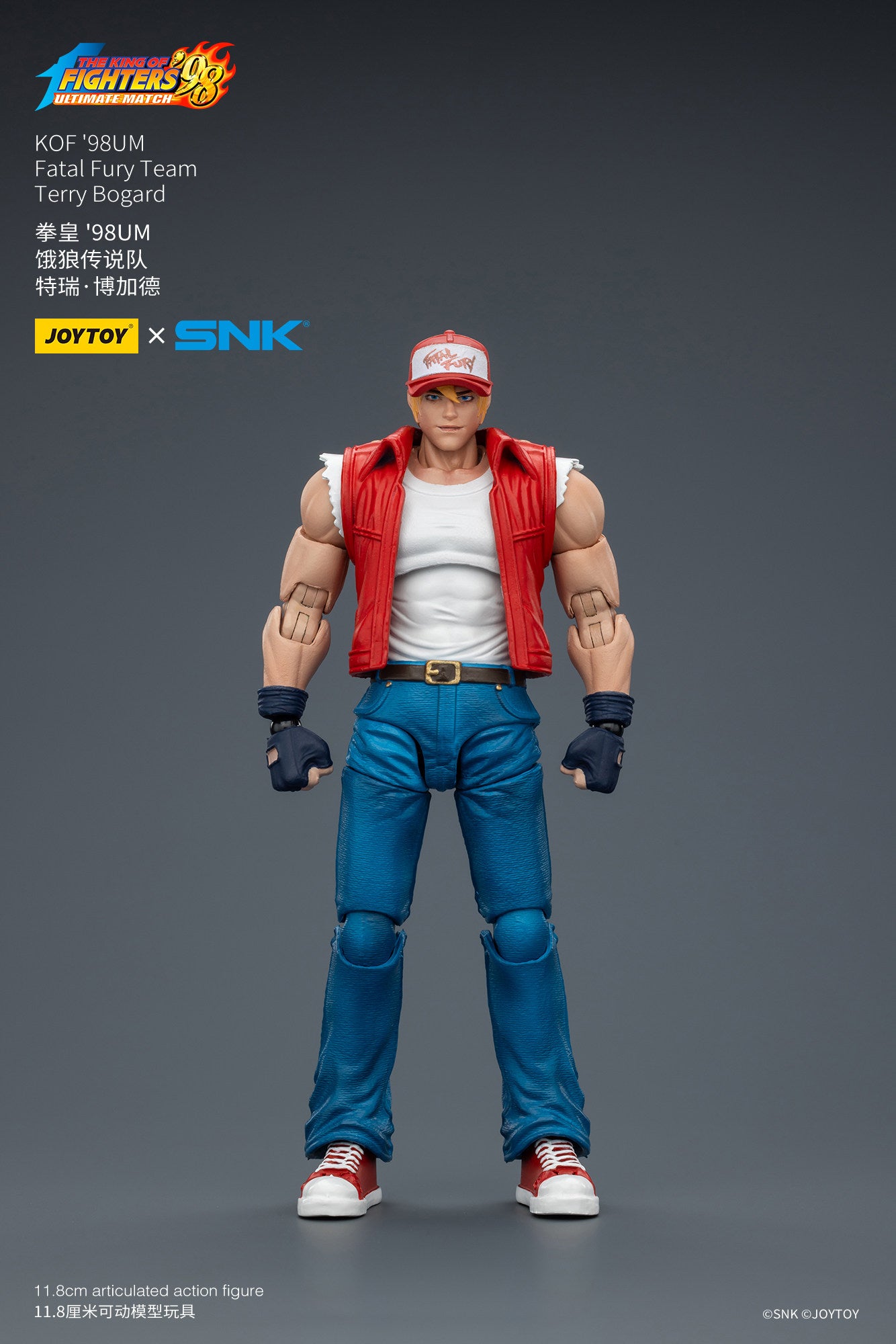 1:18 Terry Bogard Action Figure