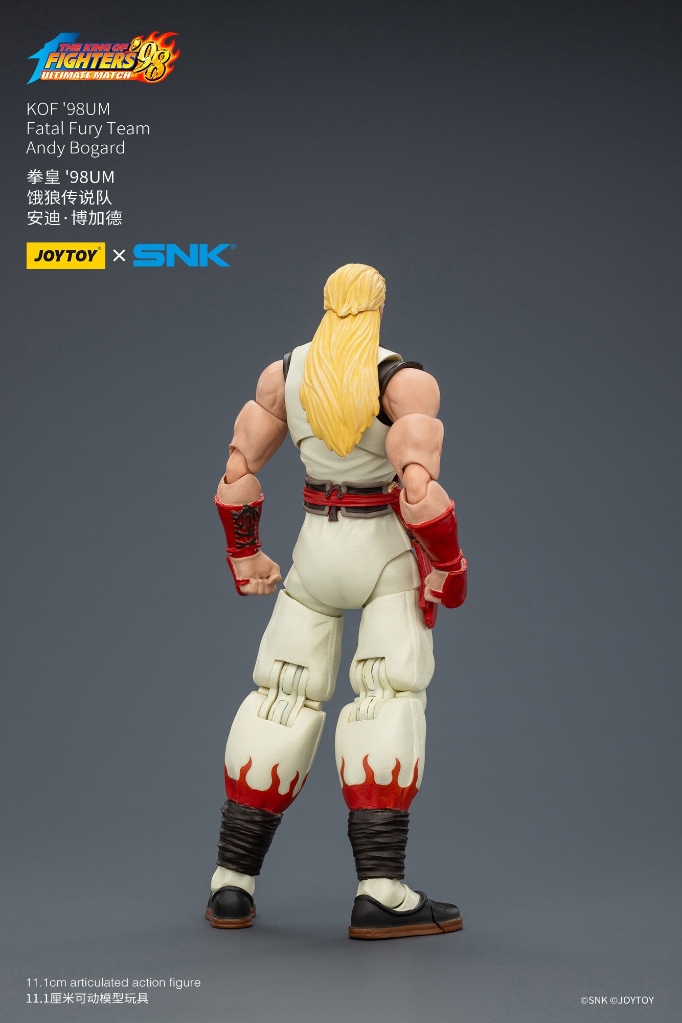 1:18 Andy Bogard Action Figure