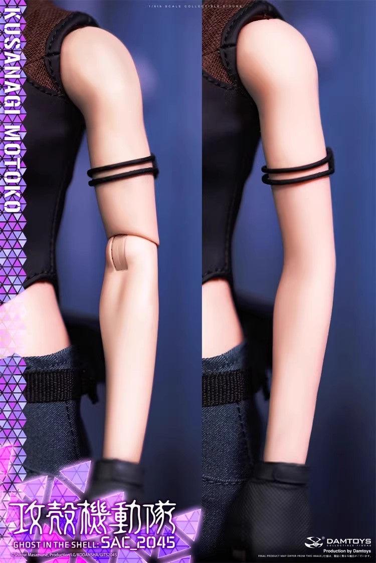 DamToys - 1:6 Kusanagi Motoko Action Figure - inshobby.com