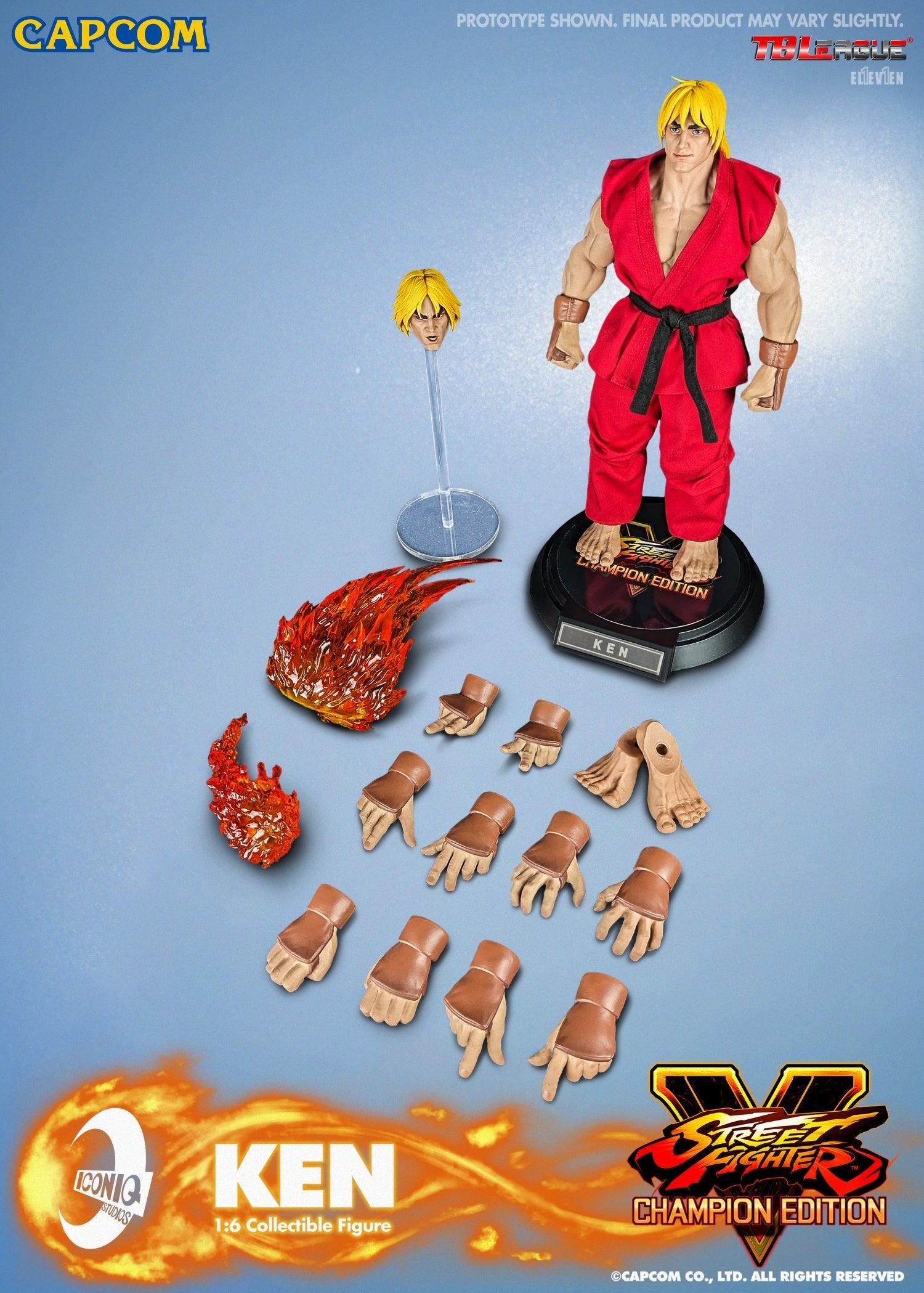 1:6 Ken Action Figure