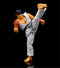 Jada - 1:12 Ryu Action Figure