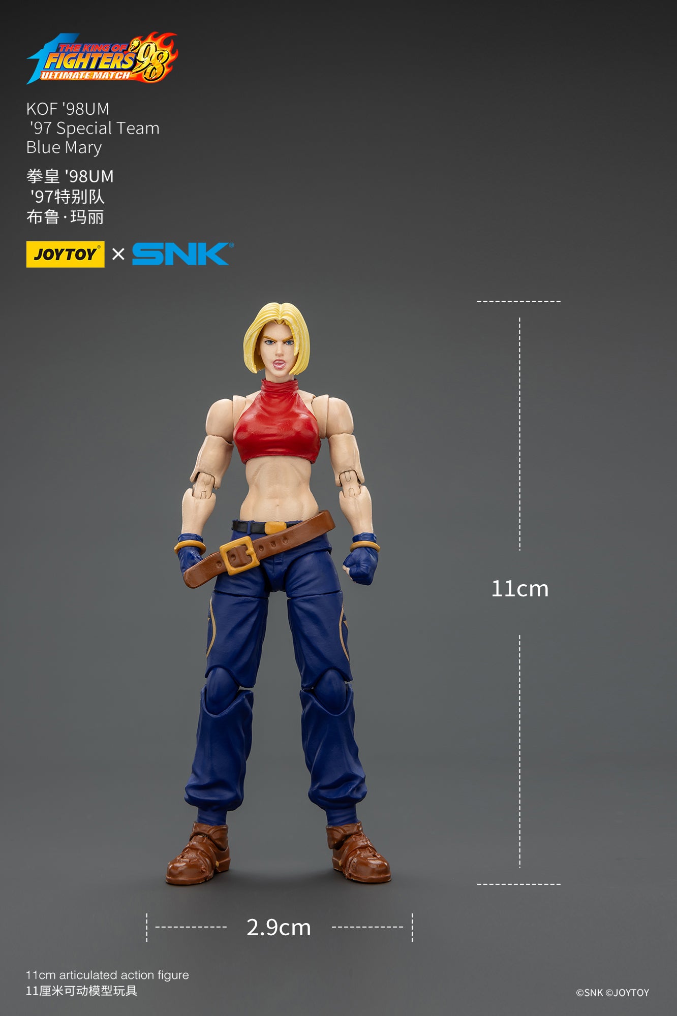 1:18 Blue Mary Action Figure