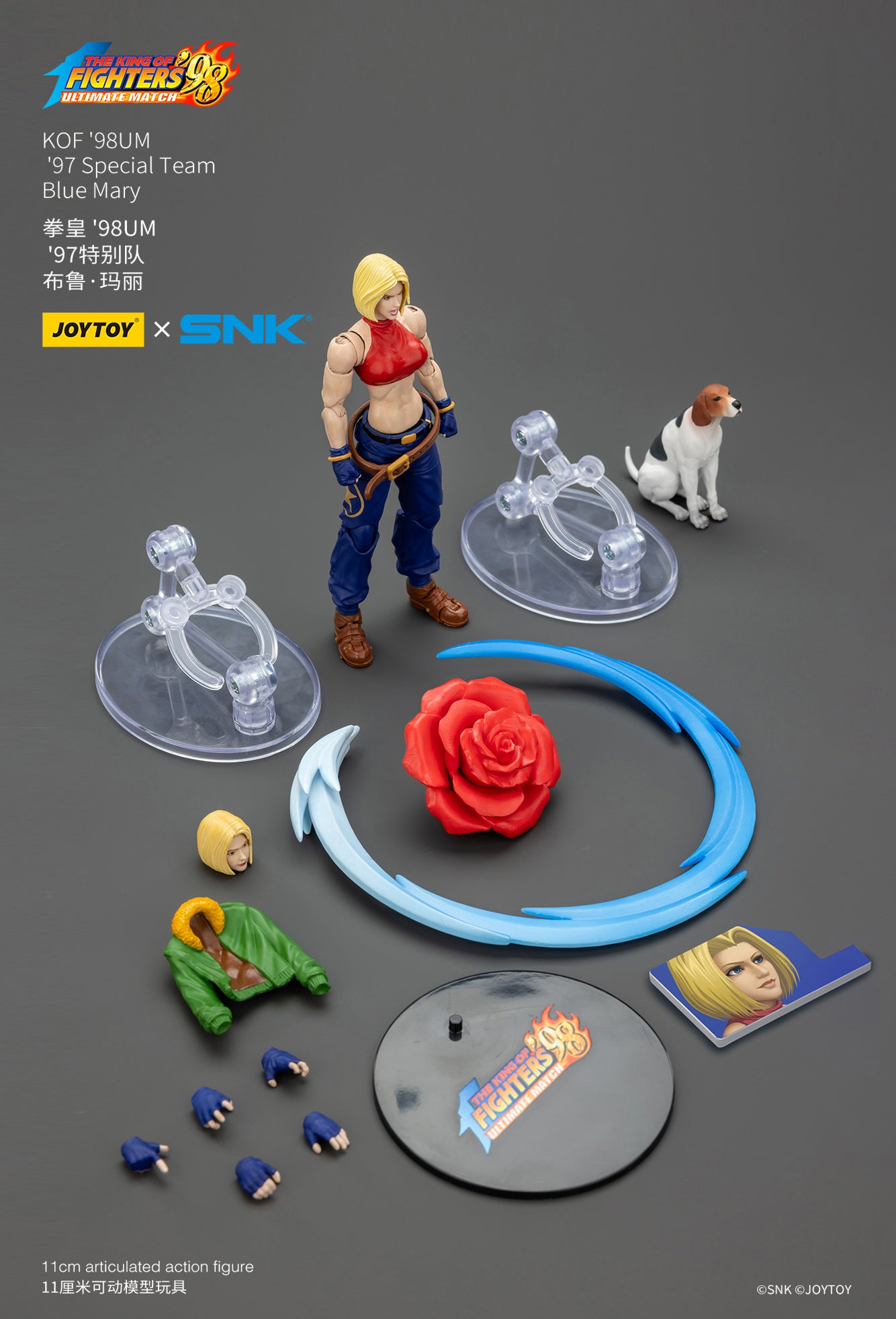 1:18 Blue Mary Action Figure