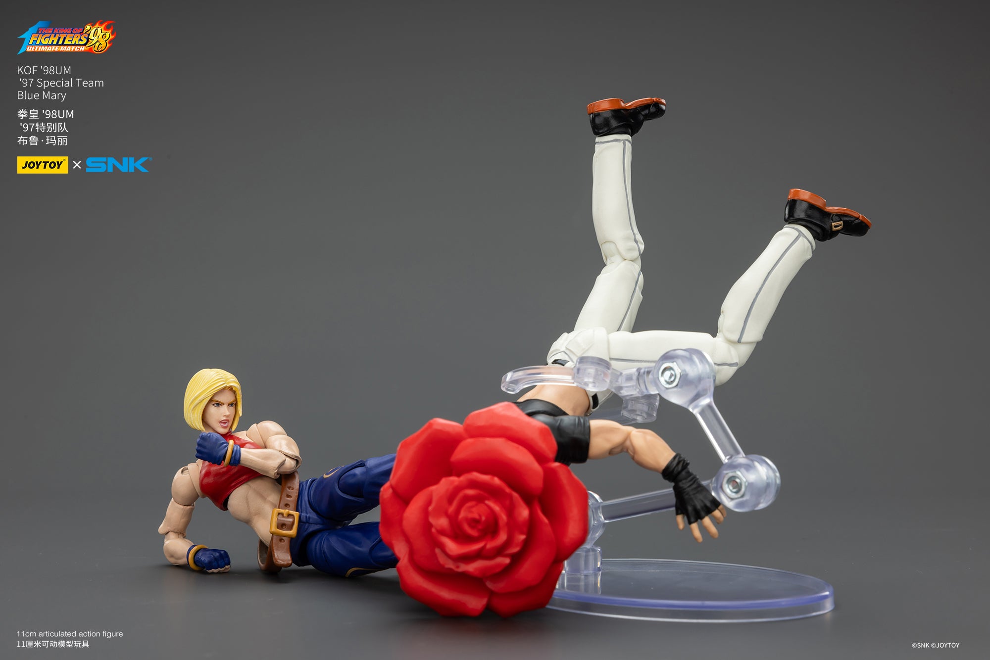 1:18 Blue Mary Action Figure