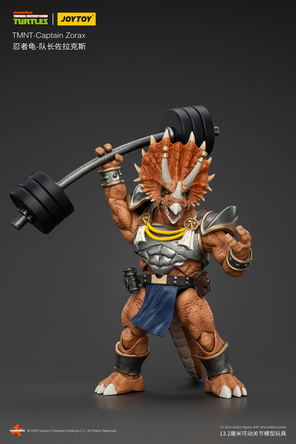 1:18 Captain Zorax Action Figure
