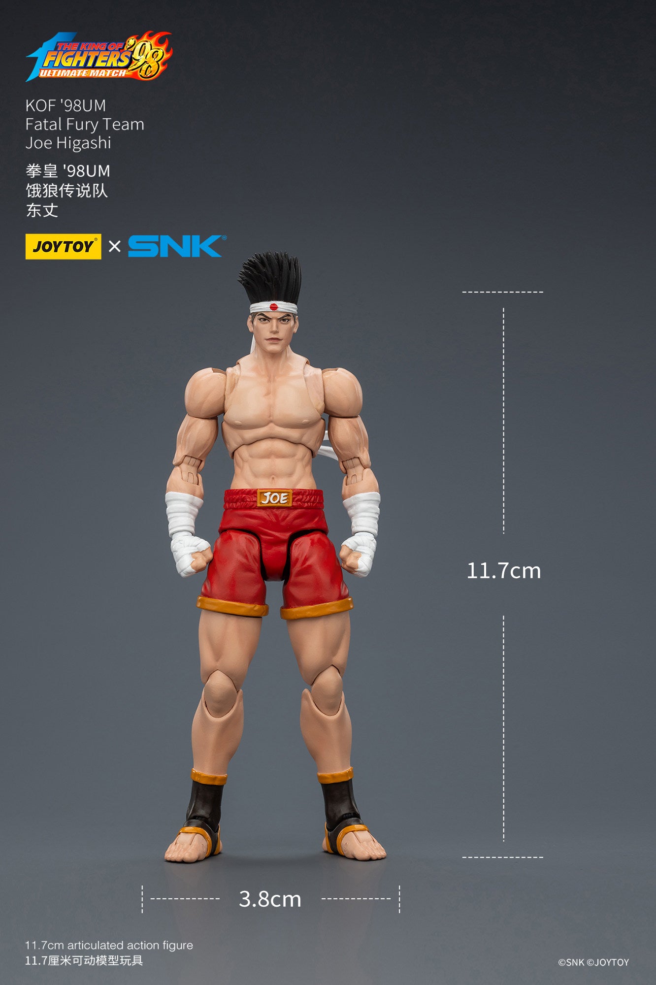 1:18 Joe Higashi Action Figure