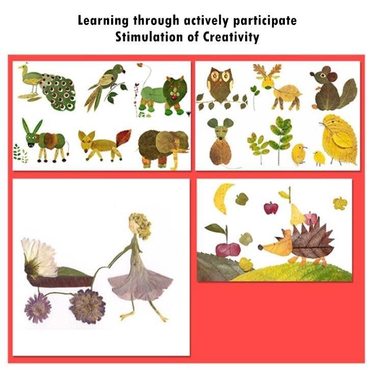 Mideer - Flower Press Specimen Holder - inshobby.com