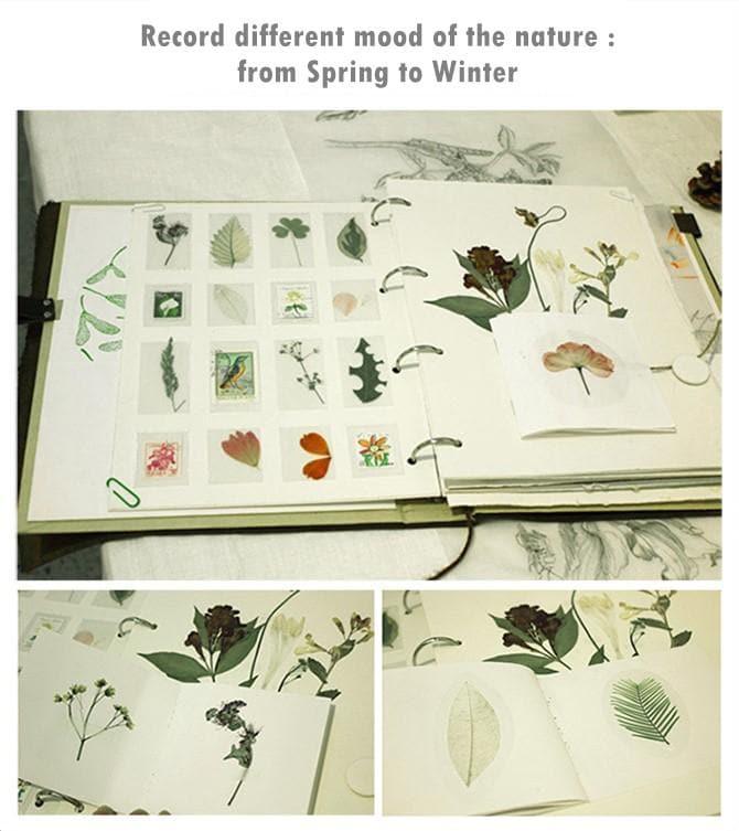 Mideer - Flower Press Specimen Holder - inshobby.com