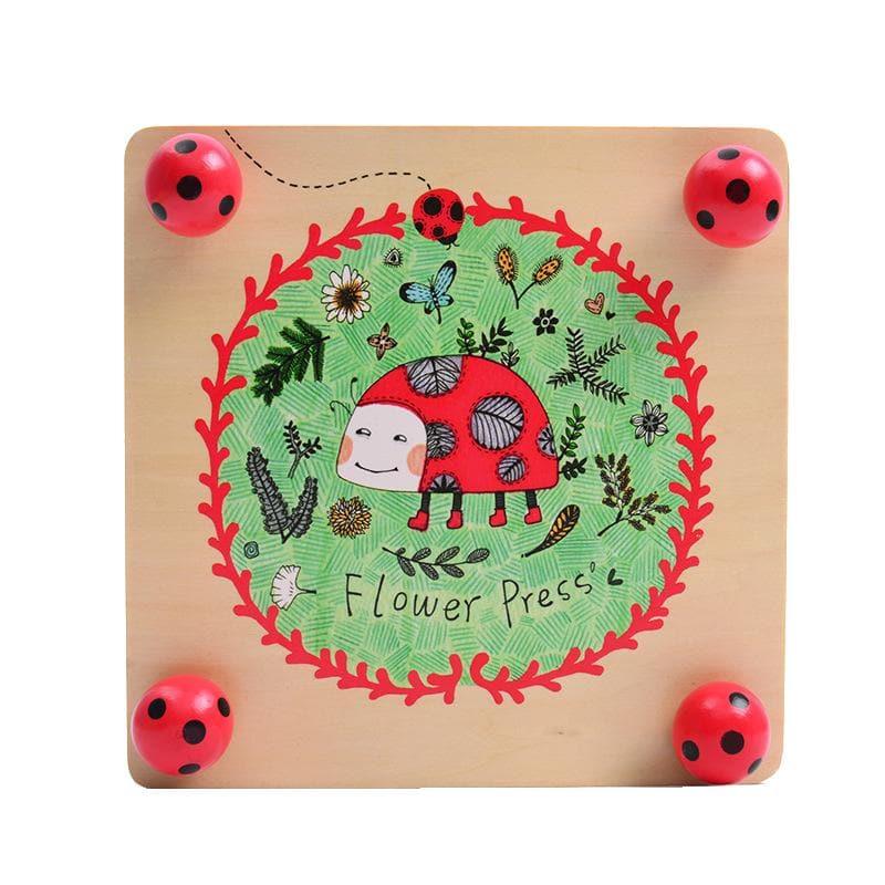 Mideer - Flower Press Specimen Holder - inshobby.com