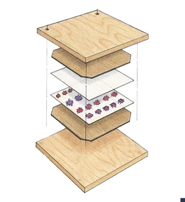 Mideer - Flower Press Specimen Holder - inshobby.com