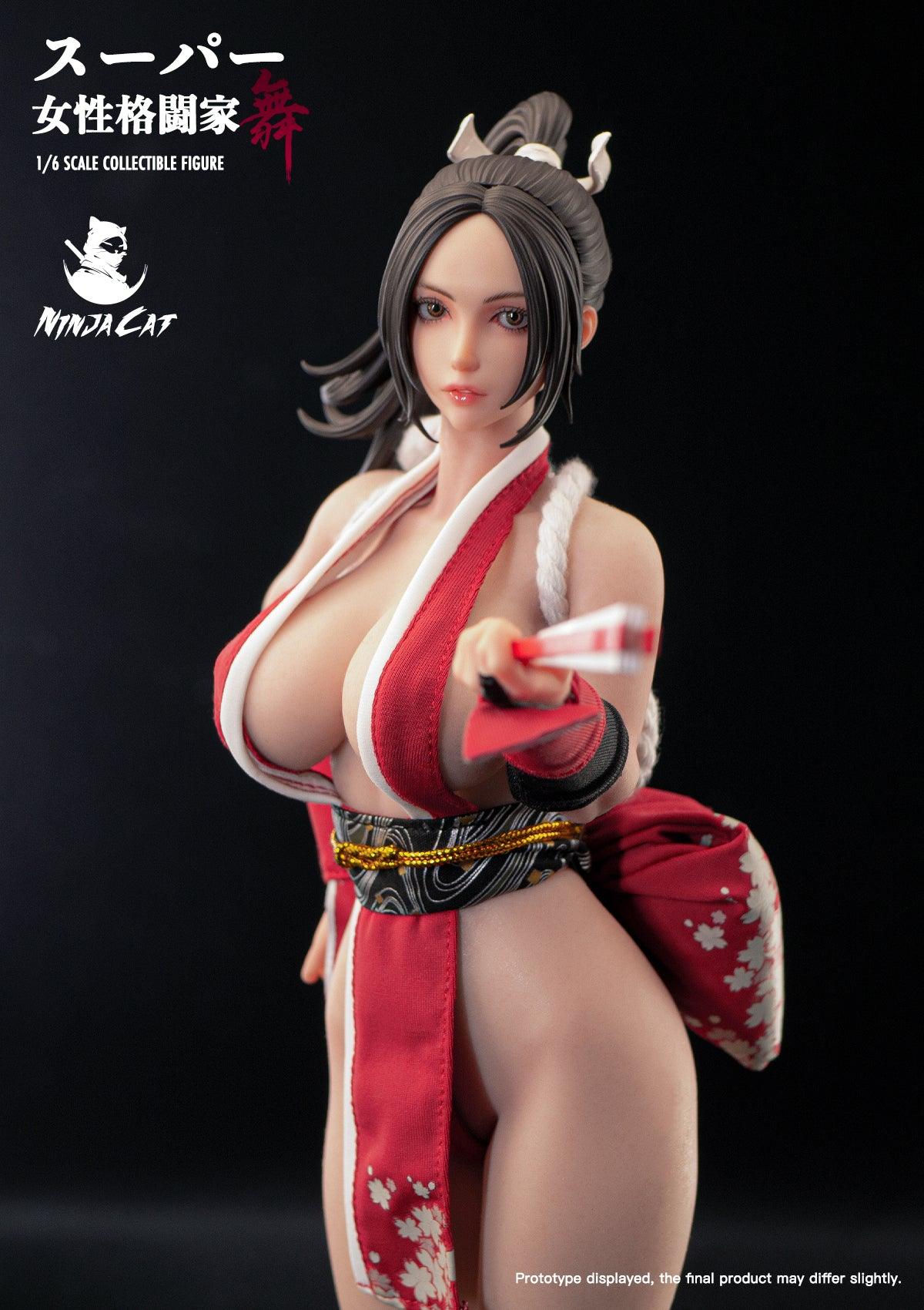 Ninja Cat - 1:6 Lady Fighter Mai Seamless Action Figure - inshobby.com