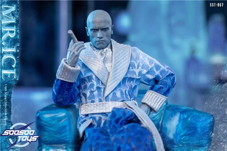 SooSooToys - 1:6 Mr.Ice Action Figure - inshobby.com