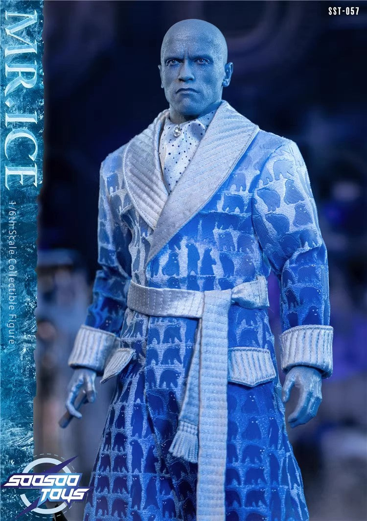 SooSooToys - 1:6 Mr.Ice Action Figure - inshobby.com
