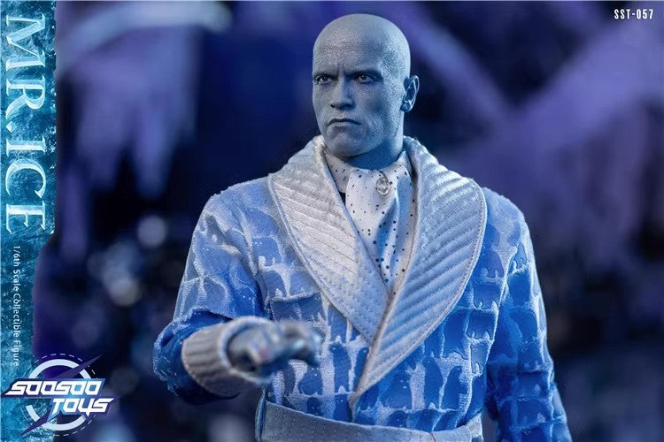 SooSooToys - 1:6 Mr.Ice Action Figure - inshobby.com