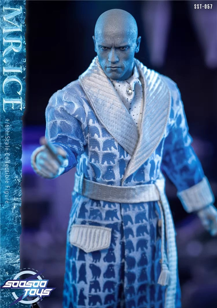 SooSooToys - 1:6 Mr.Ice Action Figure - inshobby.com