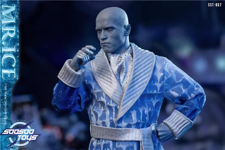 SooSooToys - 1:6 Mr.Ice Action Figure - inshobby.com