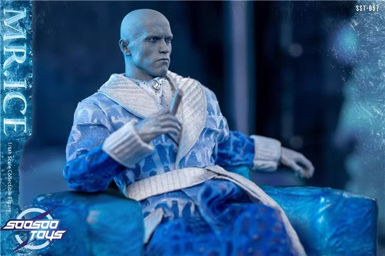 SooSooToys - 1:6 Mr.Ice Action Figure - inshobby.com
