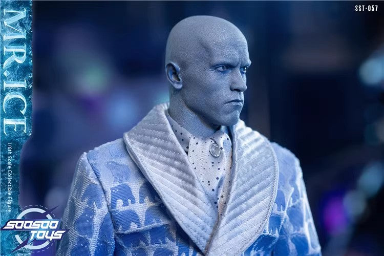 SooSooToys - 1:6 Mr.Ice Action Figure - inshobby.com