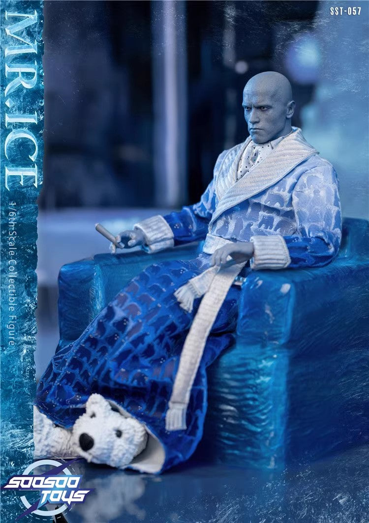 SooSooToys - 1:6 Mr.Ice Action Figure - inshobby.com