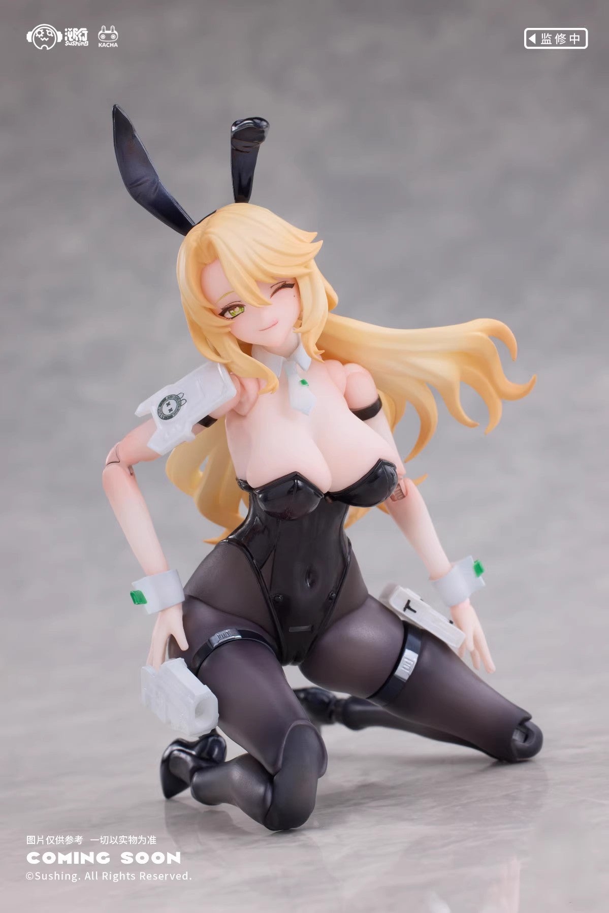 1:12 Erena Guardian Action Figure