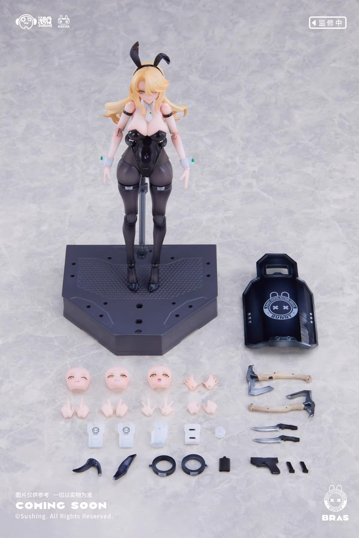 1:12 Erena Guardian Action Figure