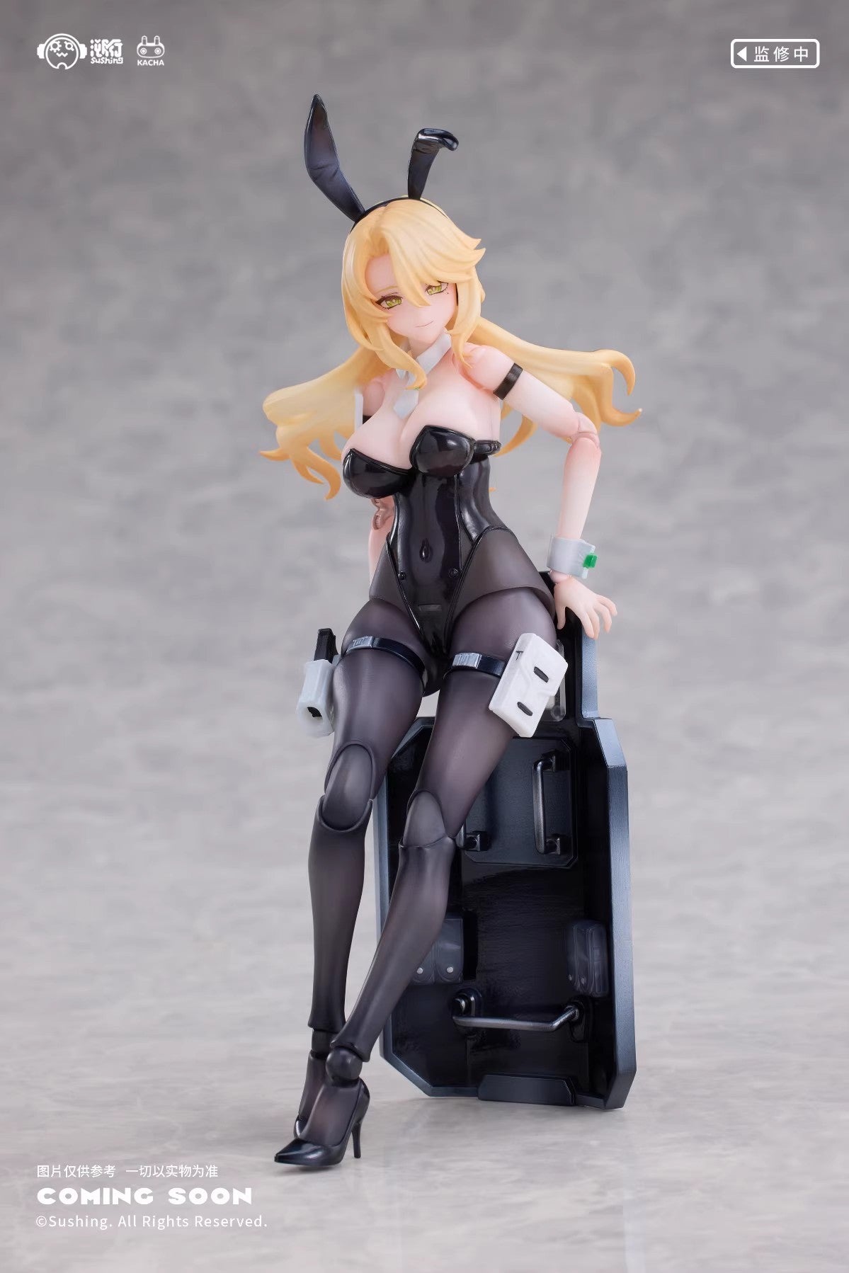 Sushing - 1:12 Erena Guardian Action Figure - inshobby.com