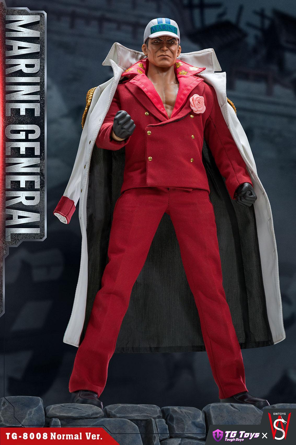 SWToys - 1:6 Marine General Action Figure - inshobby.com