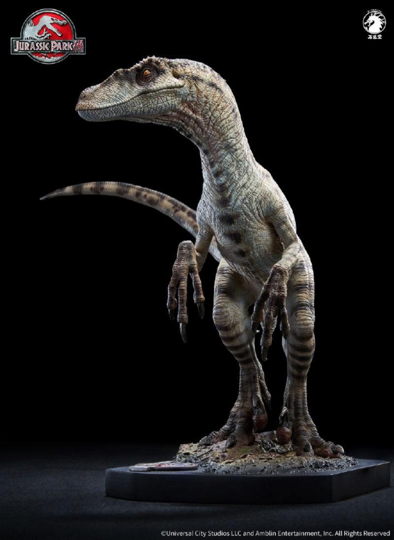 W-Dragon - 1:10 Female Velociraptor Figure - inshobby.com