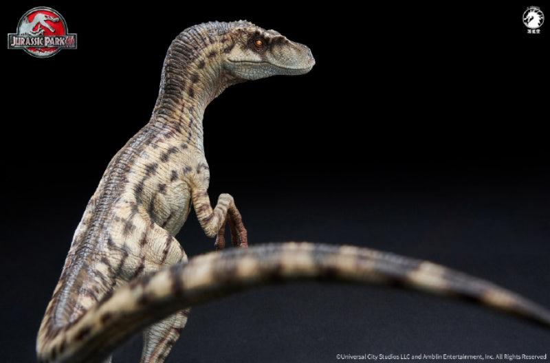 W-Dragon - 1:10 Female Velociraptor Figure - inshobby.com