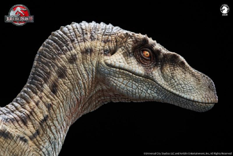 W-Dragon - 1:10 Female Velociraptor Figure - inshobby.com