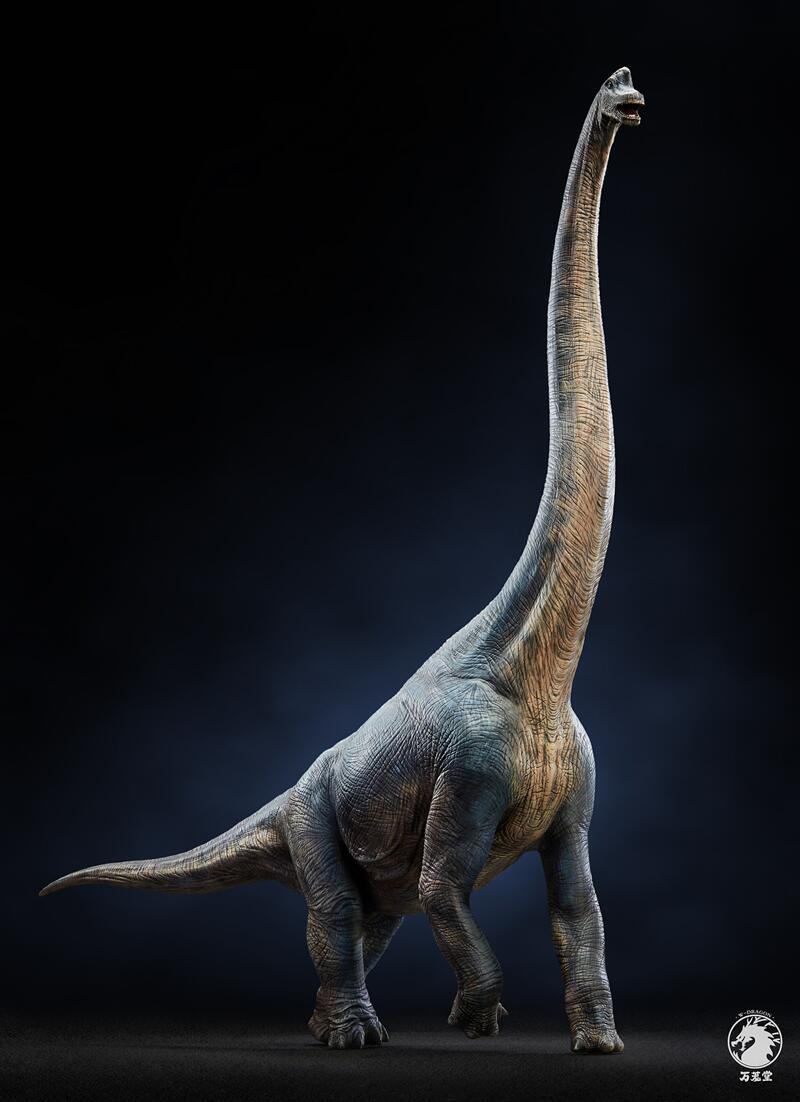 W-Dragon - 1:35 Brachiosaurus Figure - inshobby.com