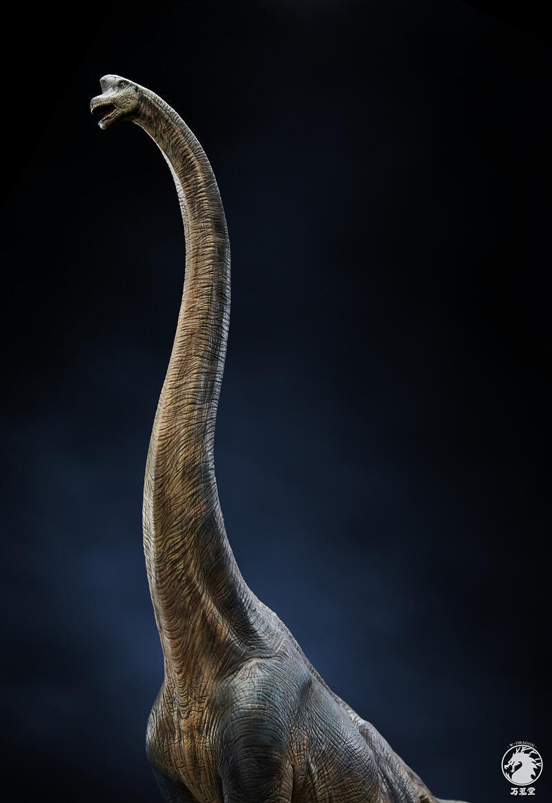 W-Dragon - 1:35 Brachiosaurus Figure - inshobby.com