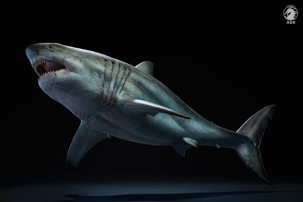 W-Dragon - 1:35 The Meg (Megalodon Shark) Figure Statue - inshobby.com