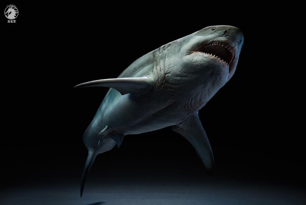 W-Dragon - 1:35 The Meg (Megalodon Shark) Figure Statue - inshobby.com