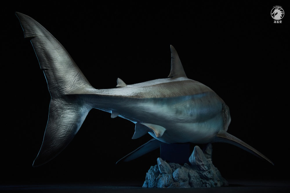 W-Dragon - 1:35 The Meg (Megalodon Shark) Figure Statue - inshobby.com