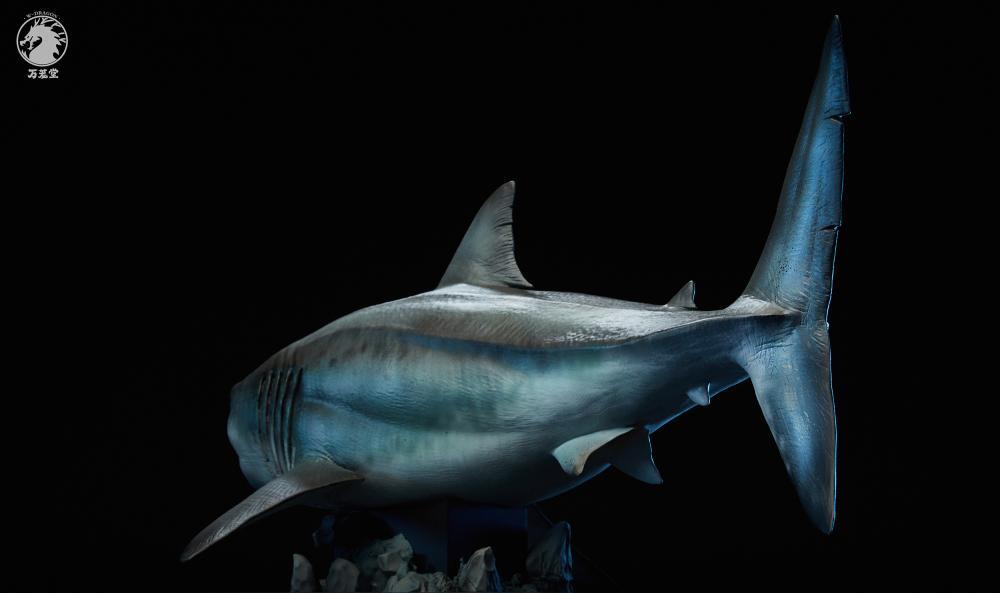 W-Dragon - 1:35 The Meg (Megalodon Shark) Figure Statue - inshobby.com