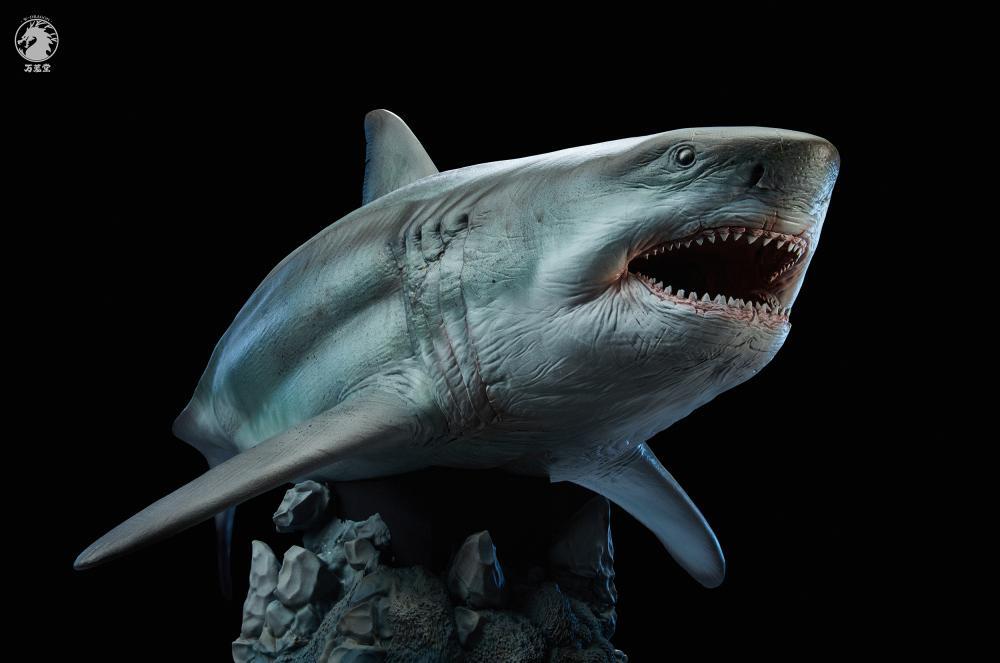 W-Dragon - 1:35 The Meg (Megalodon Shark) Figure Statue - inshobby.com