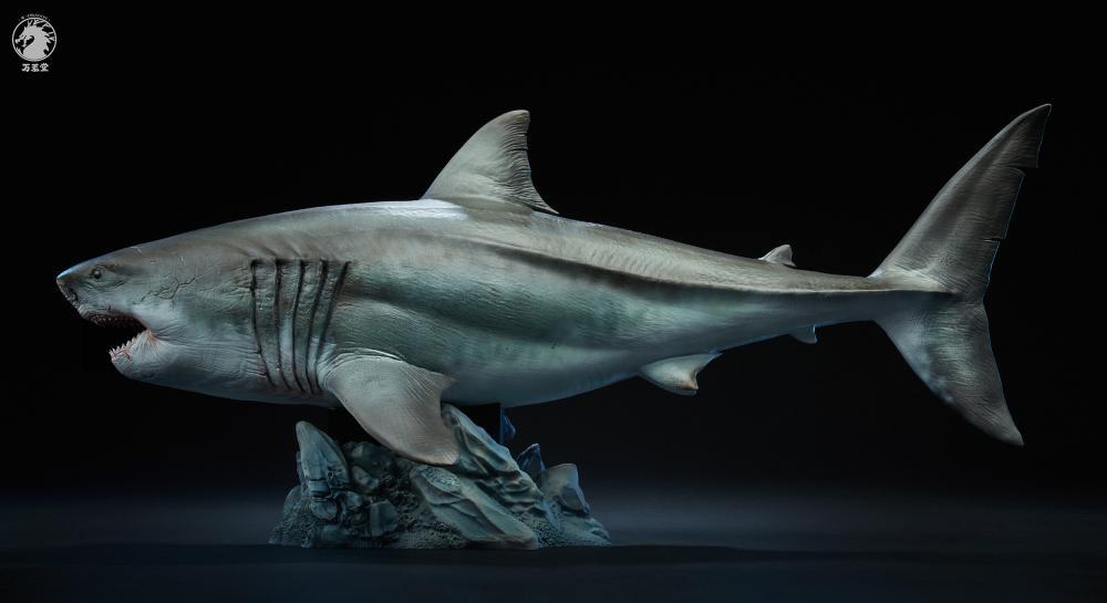 W-Dragon - 1:35 The Meg (Megalodon Shark) Figure Statue - inshobby.com