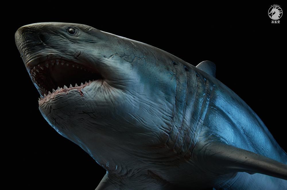 W-Dragon - 1:35 The Meg (Megalodon Shark) Figure Statue - inshobby.com